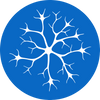 Supports Nervous System Balance